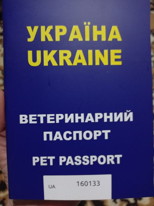 Продам вівчарку 1.7 рік і сім місяців( хлопчик )