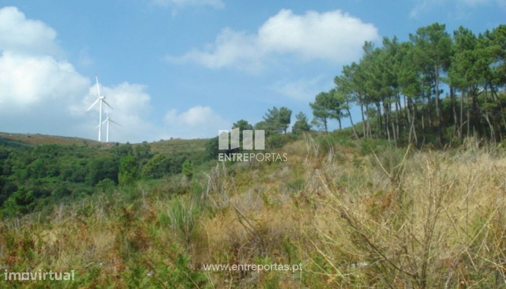 Venda Terreno, Gestaçô, Baião — Gestaçô, Porto