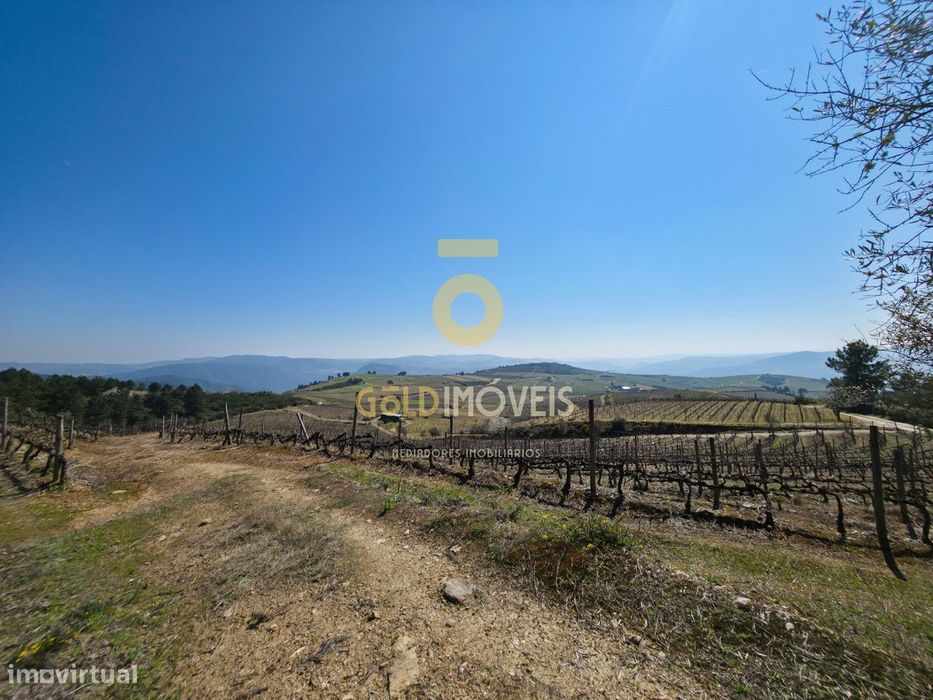 Quinta  Venda em São Mamede de Ribatua,Alijó