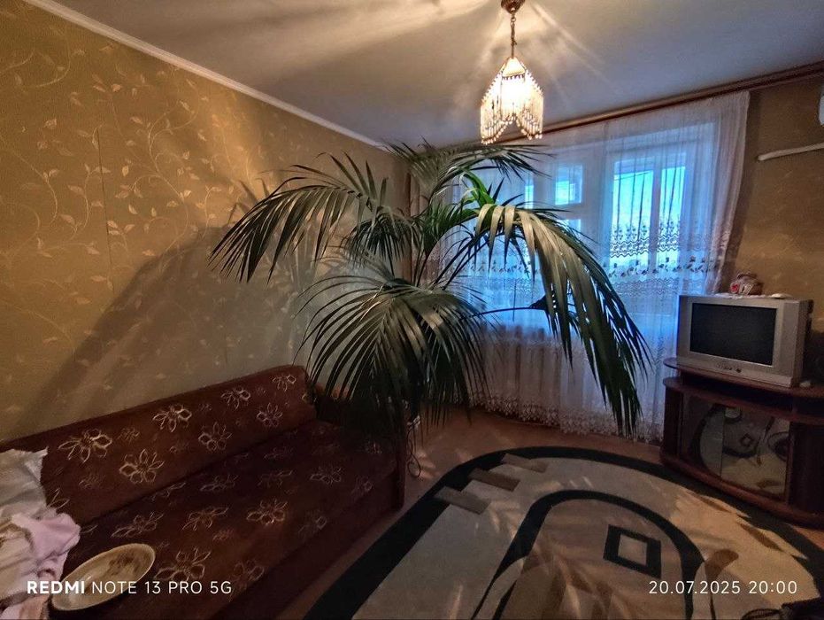 Пальма Арека лонг