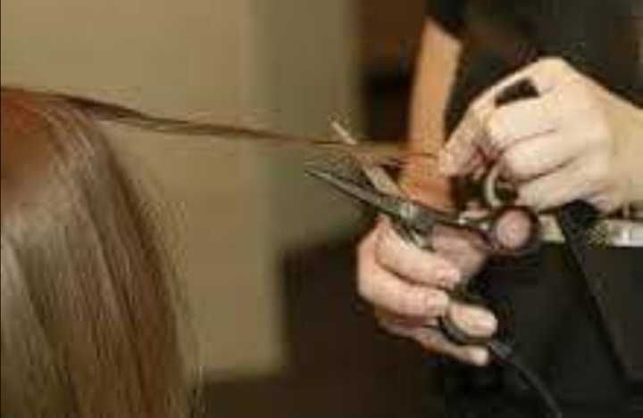 Tesoura eléctrica jaguar - Thermo cut TC 400Kit