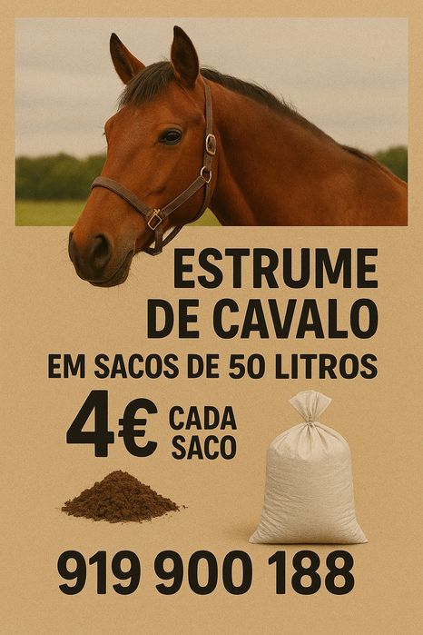 Estrume de Cavalo (puro)
