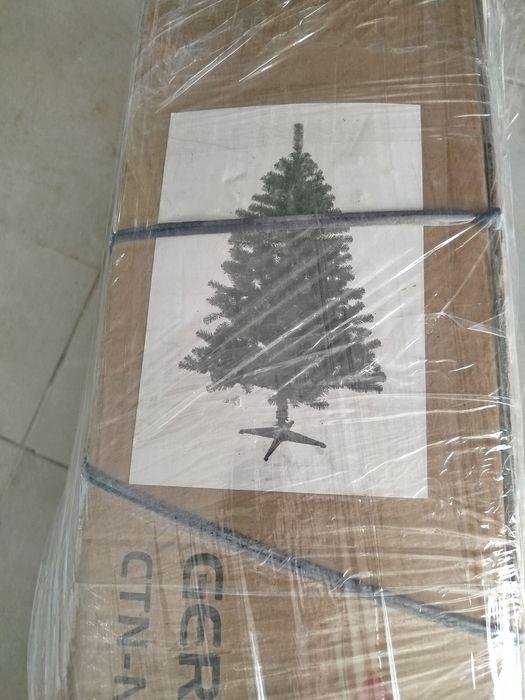 Pinheiro de natal para desocupar esta direito e ainda em caixa