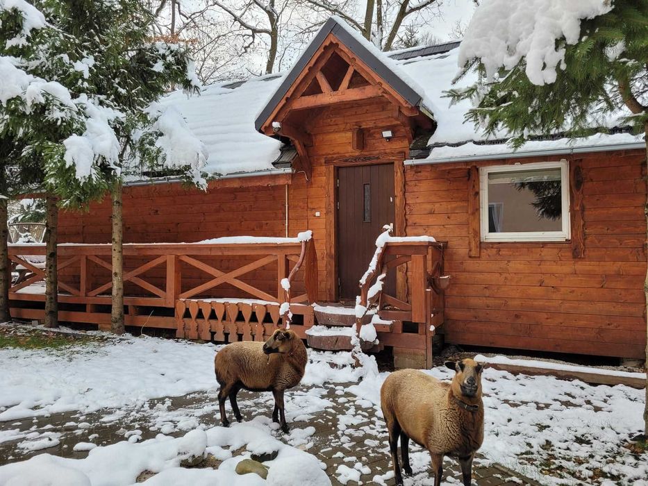 Domek 8 osobowy wolny od dzisiaj !!!