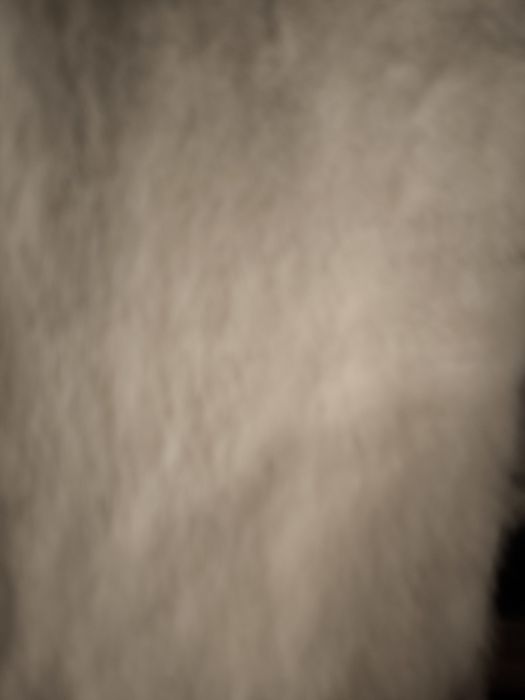 Futro z norek naturalnych