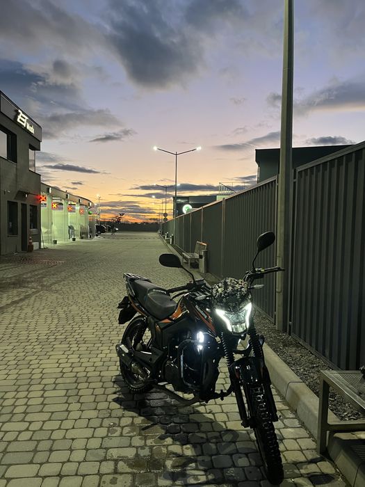 Musstang mt250-9r
