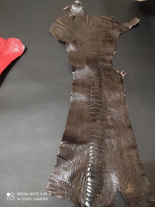 Кожа лап страуса