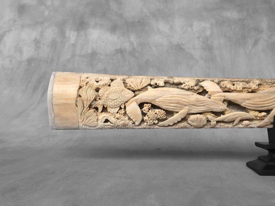 lança de espadarte(Xiphias Gladius ) .(95 cm x 10 x 5cm)