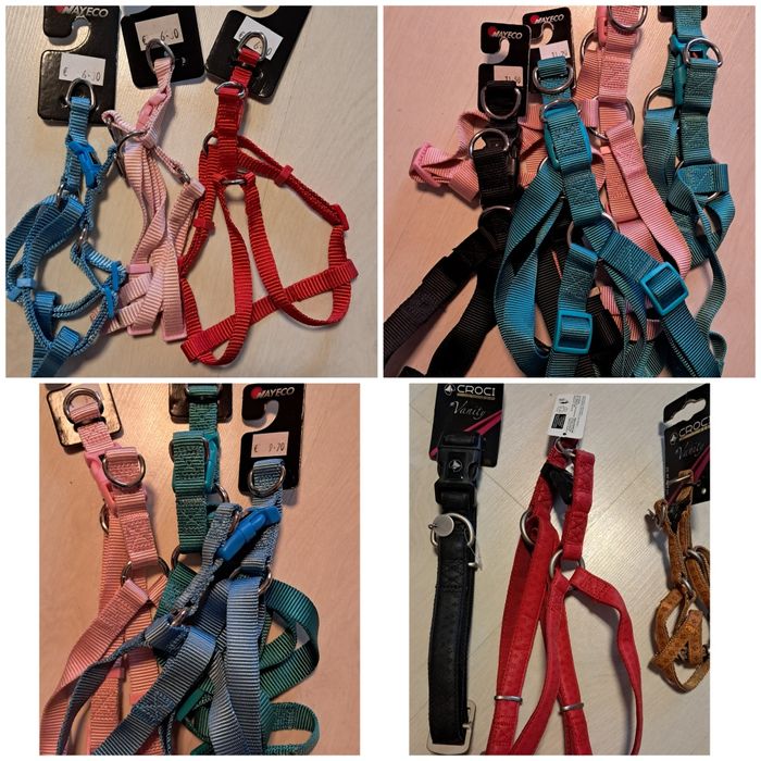Acessórios e brinquedos para cão NOVOS