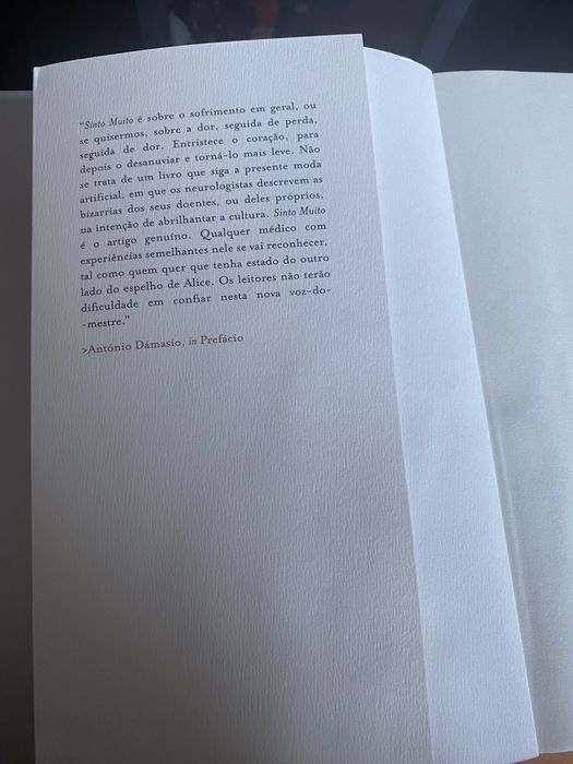 Sinto Muito - Nuno Lobo Antunes