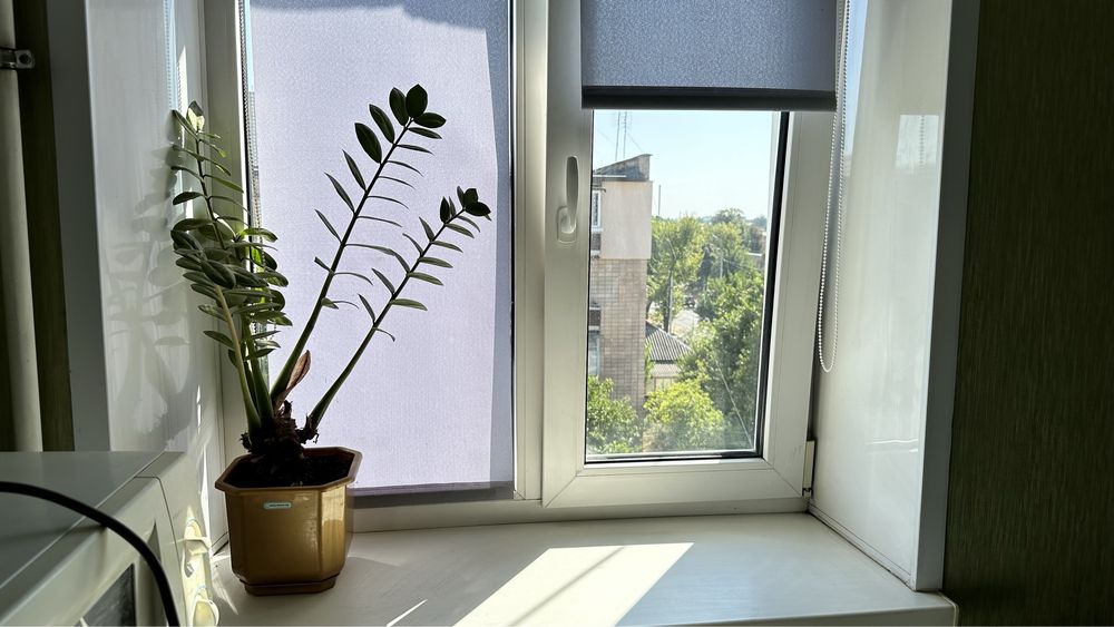 1-кім р-нДелікату (Надпільна-Б.Хм) подобово, погодинно