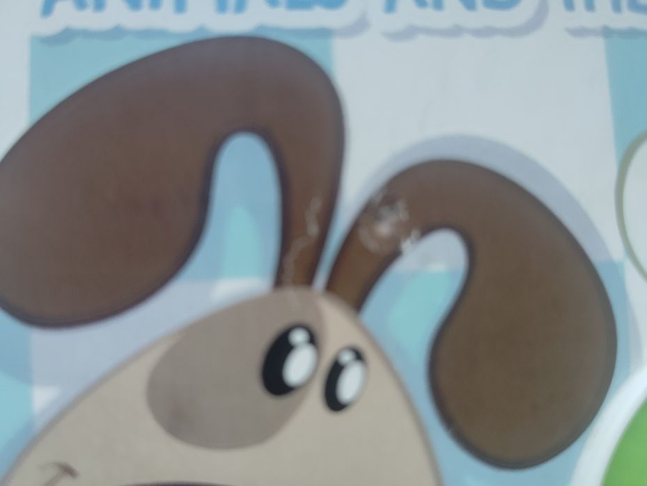 Livro Falante Infantil Inglês/Português Usado