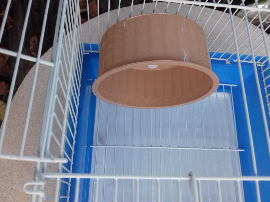 Клітка для хом'яків, щурів повний комплект