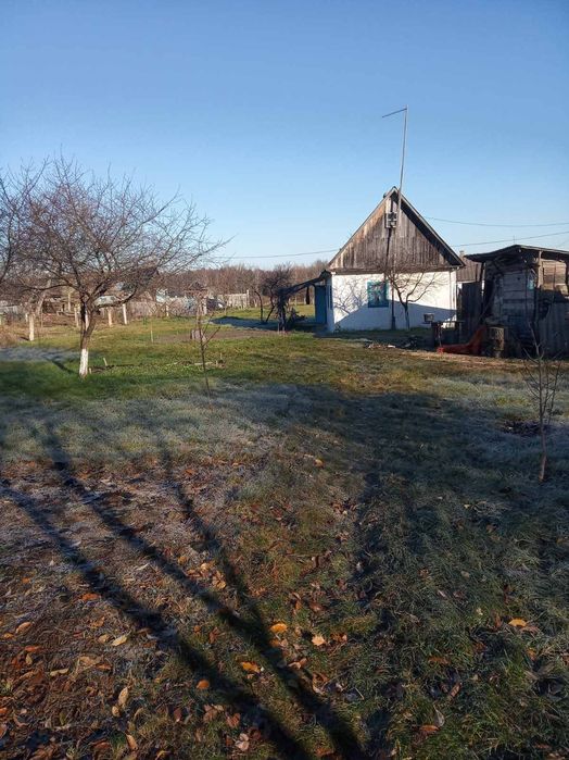 Продам хату. Старий Кривин