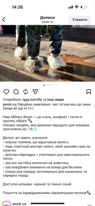 Собачий зимовий комбінезон Pesik.co для собак чорний Pesikco