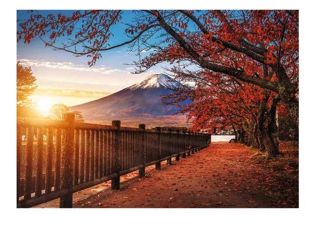TREFL 10817 Puzzle 1000 elementów GÓRA FUJI Japonia