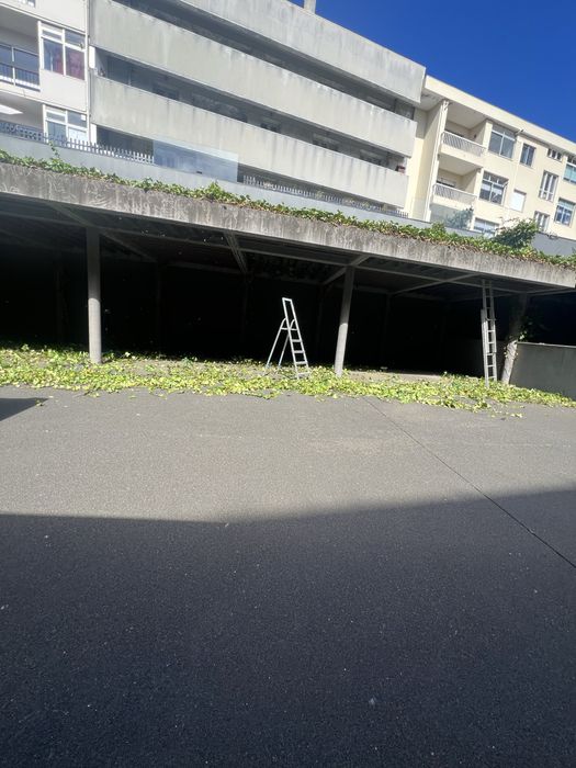 Servicos de jardinagem e limpeza de terrenos.
