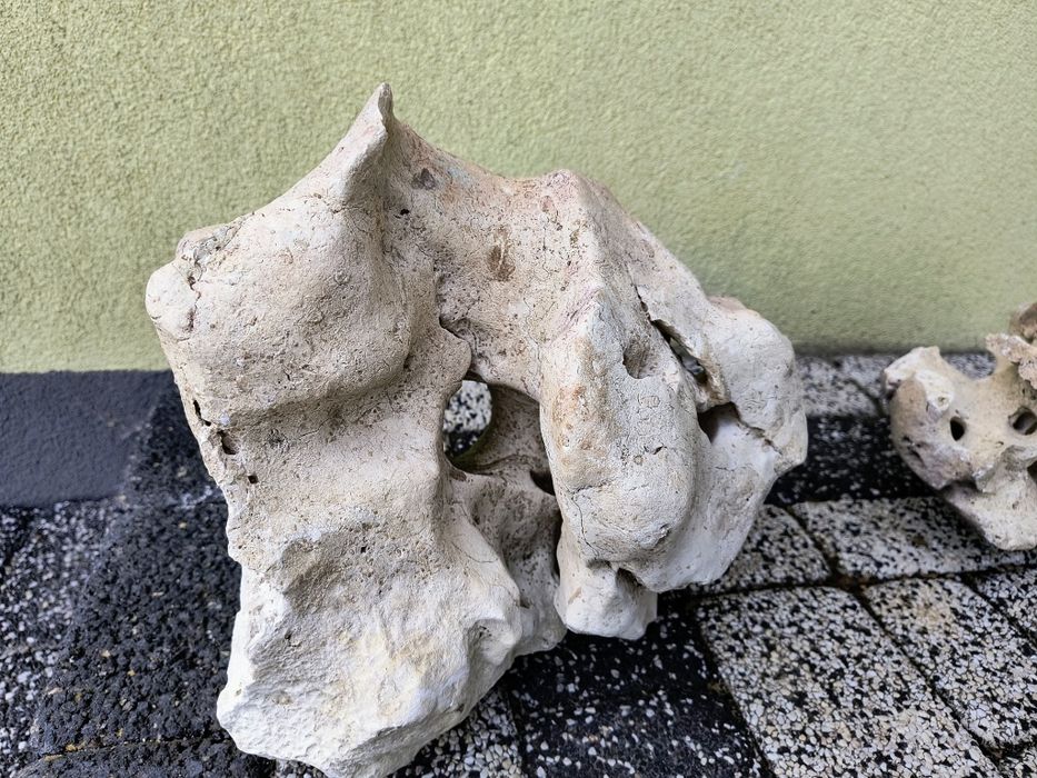 Skala Limastone , Wapień filipiński do akwarium
