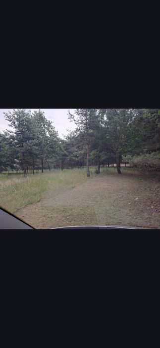 Działka  Sobienie Jeziory 2510m2