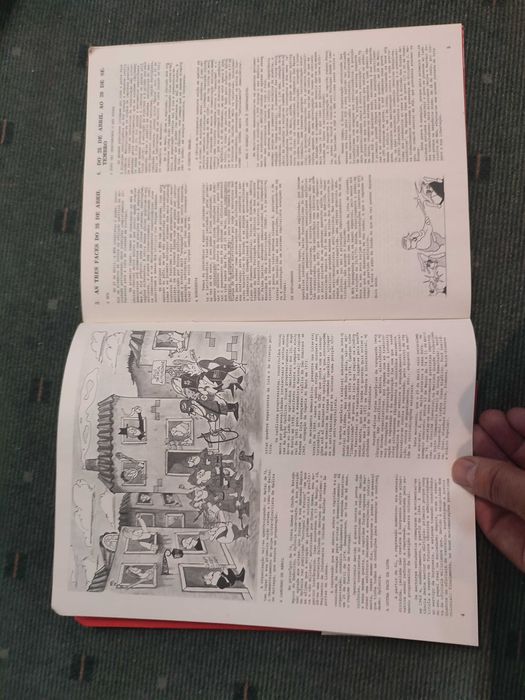 Portugal Um Guia para o Processo