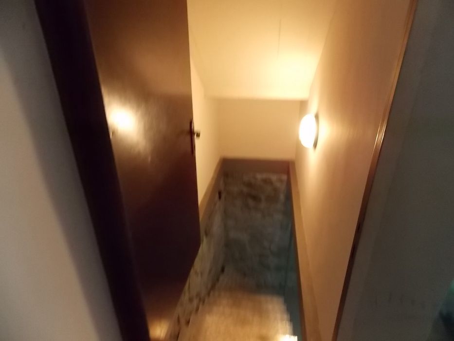 ТЕРМІНОВО! Будинок з ремонтом та укриттям, 25 соток, басейн