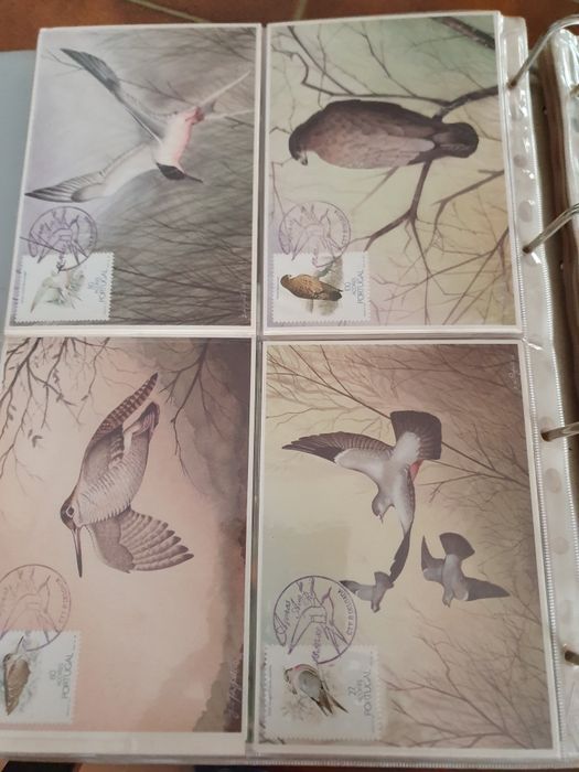 29 Postais sobre o tema aves