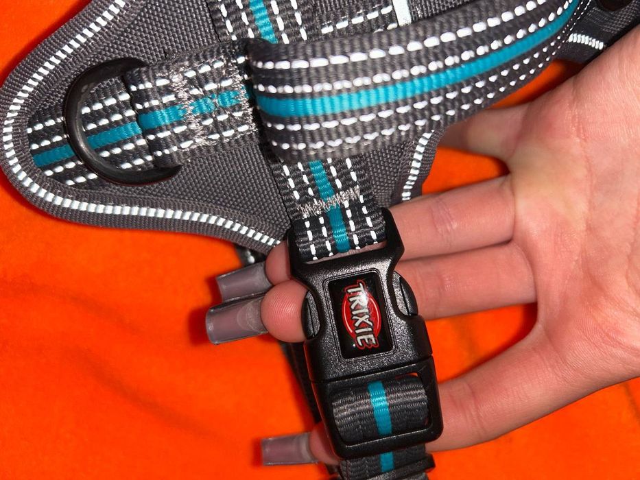 Шлейка для собаки