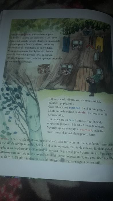 вірші та  оповідання про  тварин для дітей на молдавсько- руминскої  м