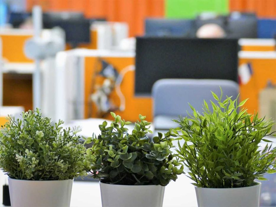 Przestrzeń coworkingowa / Coworking na wynajem | Starter Gdańsk