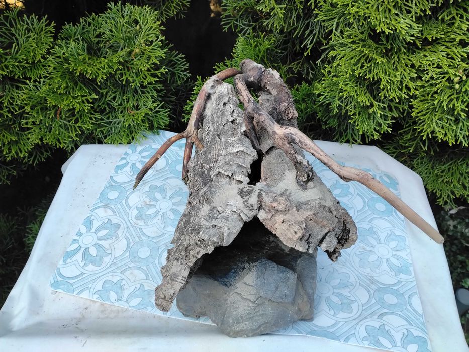 Bardzo duża grota   ok.30cm
