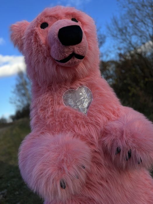 Рожевий ведмедик Коломия.Білий ведмідь.Аніматори