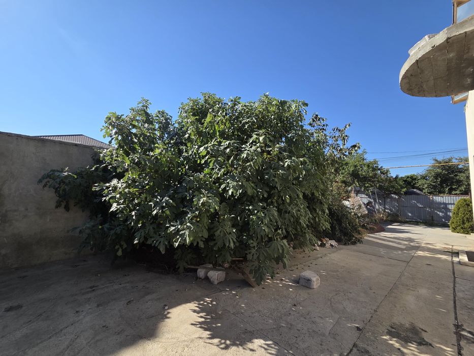 Дом по адресу (площадь 237 м²) - Atlanta.ua - фото 6