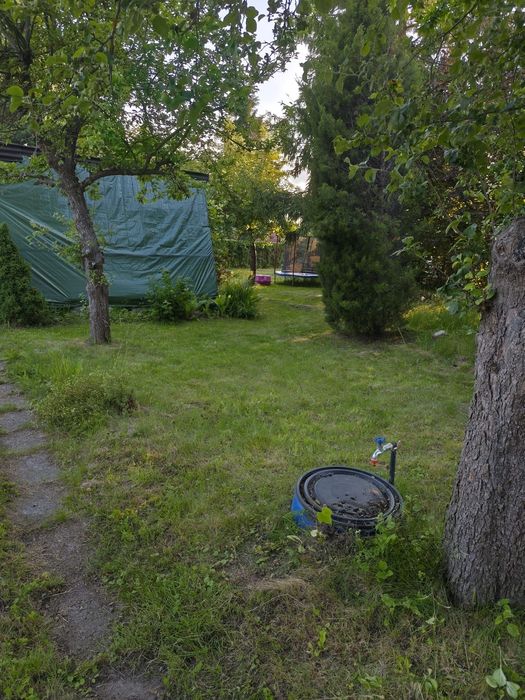 Sprzedam działkę ROD ul. Skrzydlata Elbląg 450 m² - Widok 3