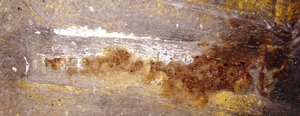 Rejestracja na Zabytek Rzeczoznawca Koło Konin Tur