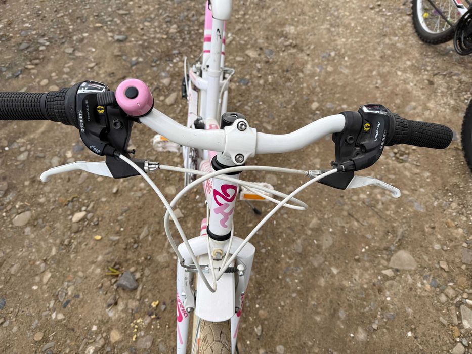 Ровер для підлітка  другий для дівчинки.   Італія