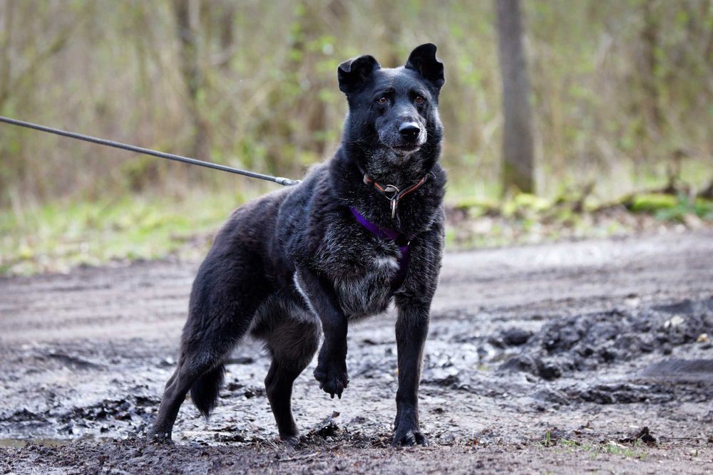 Malina-cud dziewczyna [FILM]