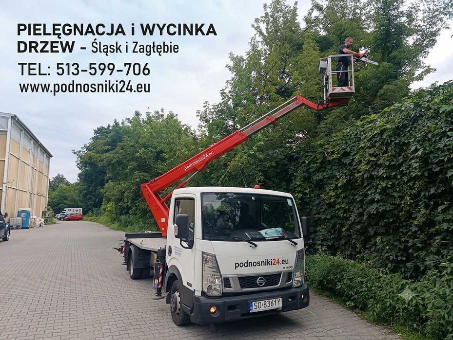 Przycinanie, Pięlęgnacja, Wycinanie drzew i krzewów