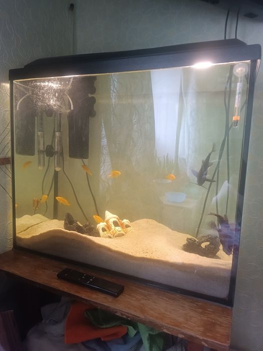 Продам аквариум на 100 литров со всем оборудованием и рыбами
