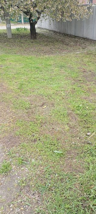 Уборка участков , спил деревьев