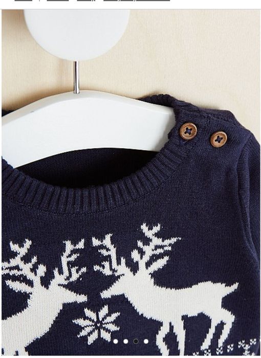 Фемели лук новогодний, новорічний