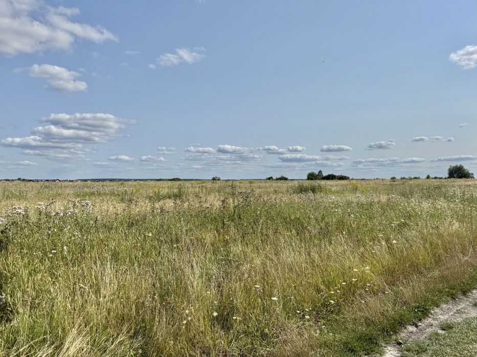 Земельна ділянка 5,9 га! Колонщина!