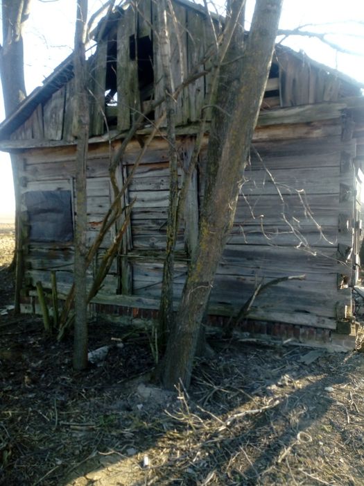 Sprzedam komórkę drewnianą