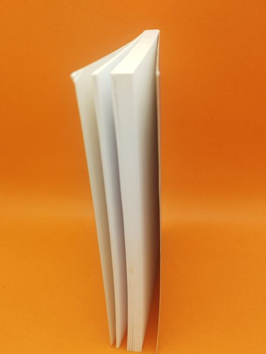 Przedsiębiorstwo holokaust - Norman Finkelstein