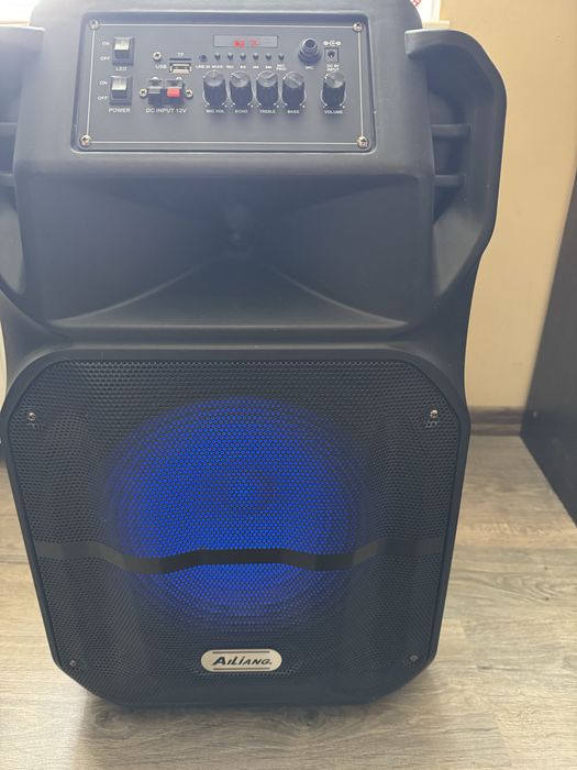Продається Акумуляляторна Колонка Ailiang 600V