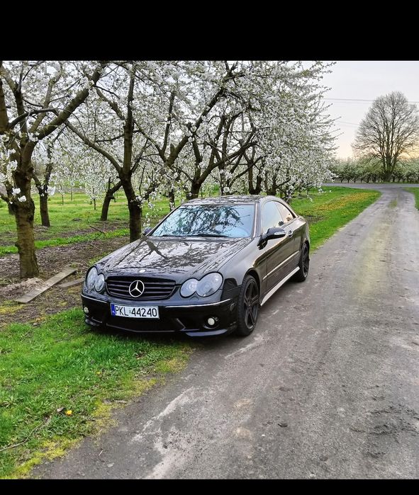 Mercedes CLK W209