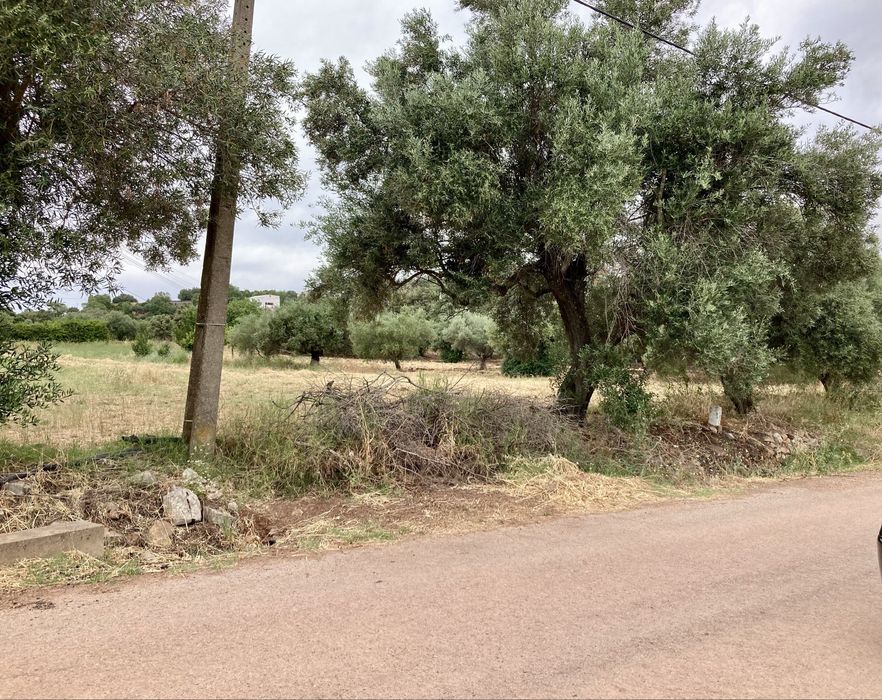 Terreno Rustico em São Brás Alportel