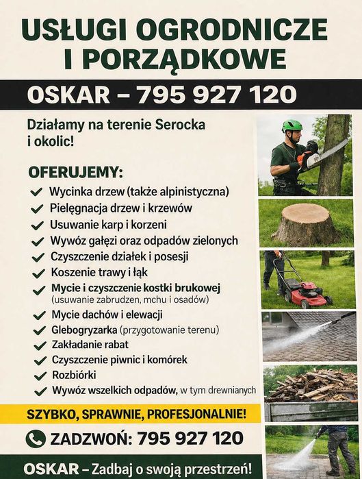 Wycinka i pielegnacja drzew