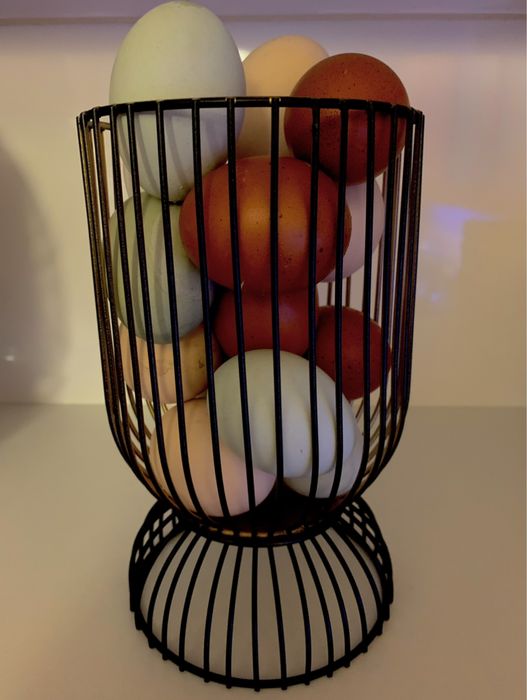 Ovos de galinhas de raça