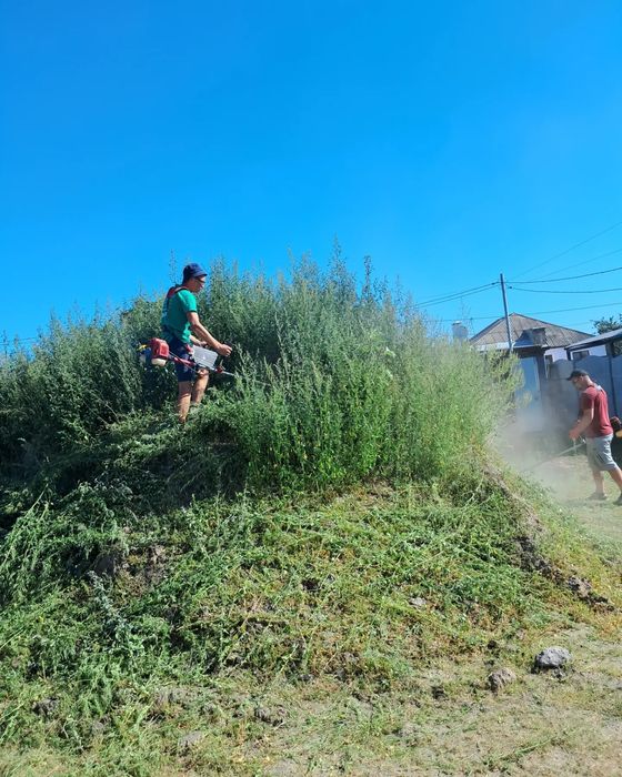 Спил деревьев. Спил дерев.расчистка участков. Культивация огорода