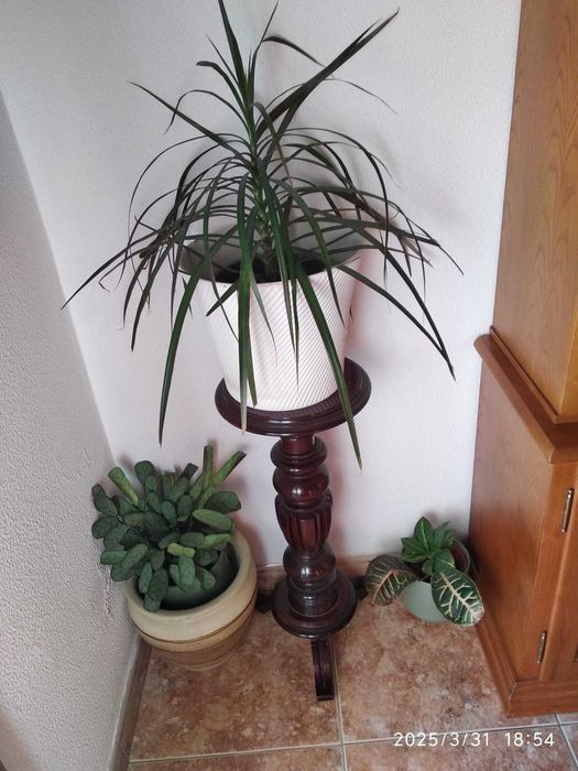 Suporte para plantas